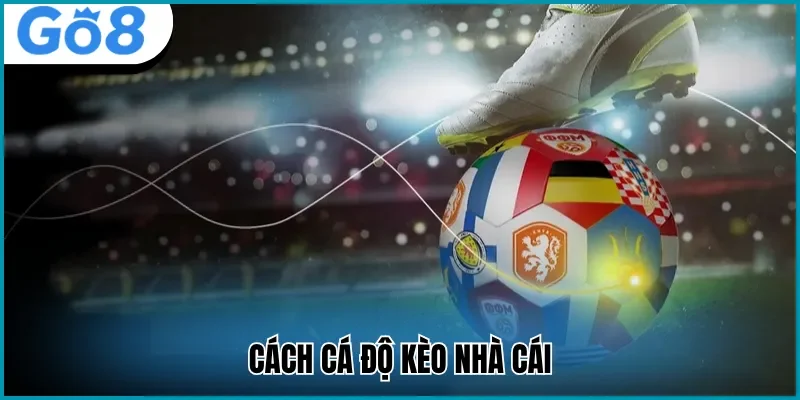 Chơi cá độ kèo nhà cái đơn giản